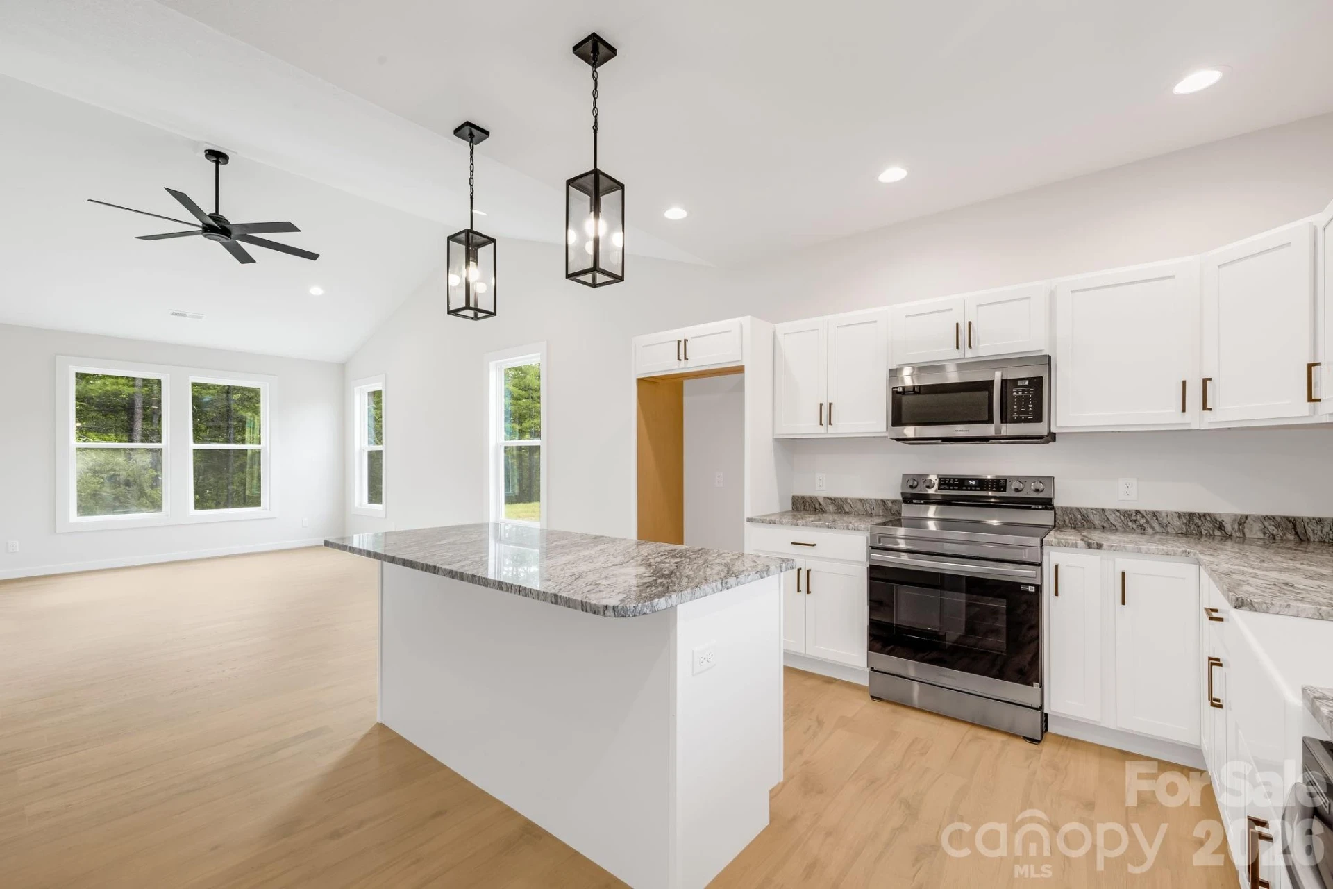 118 Dog Star Lane - Photo 15