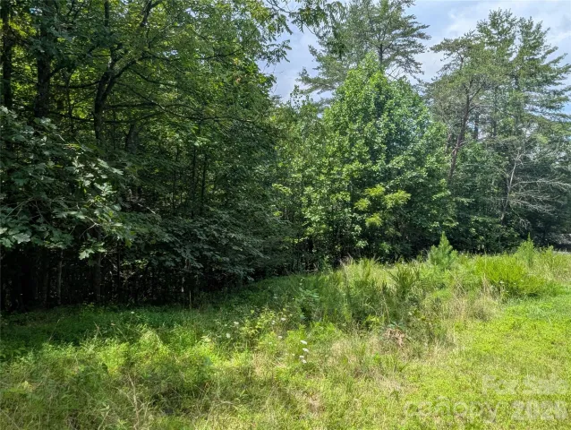 0 Austin Drive, Marshall, NC, 28753