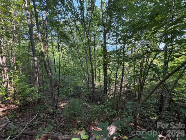00 Holland Drive, Columbus, NC, 28722