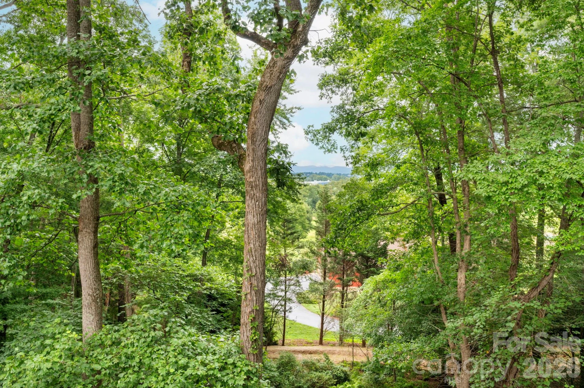 232 Ladson Spring Trail - Photo 17