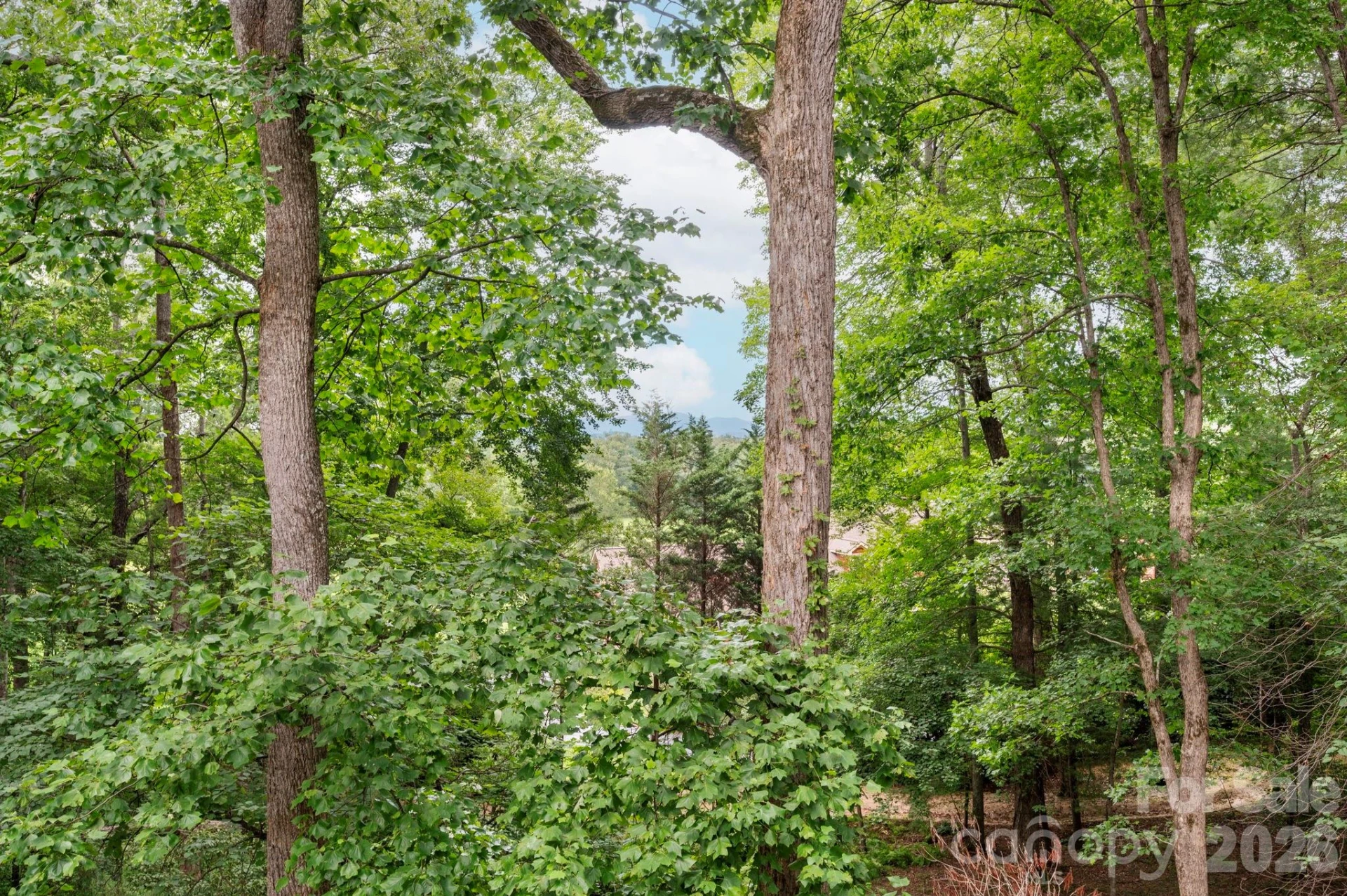 232 Ladson Spring Trail - Photo 34