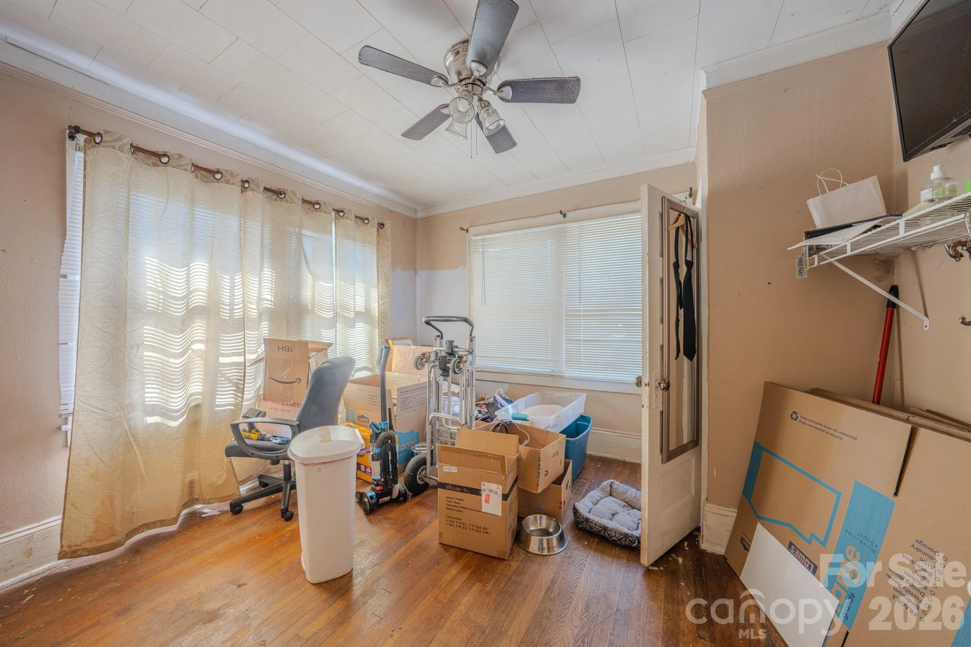 24 Timothy Street - Photo 19