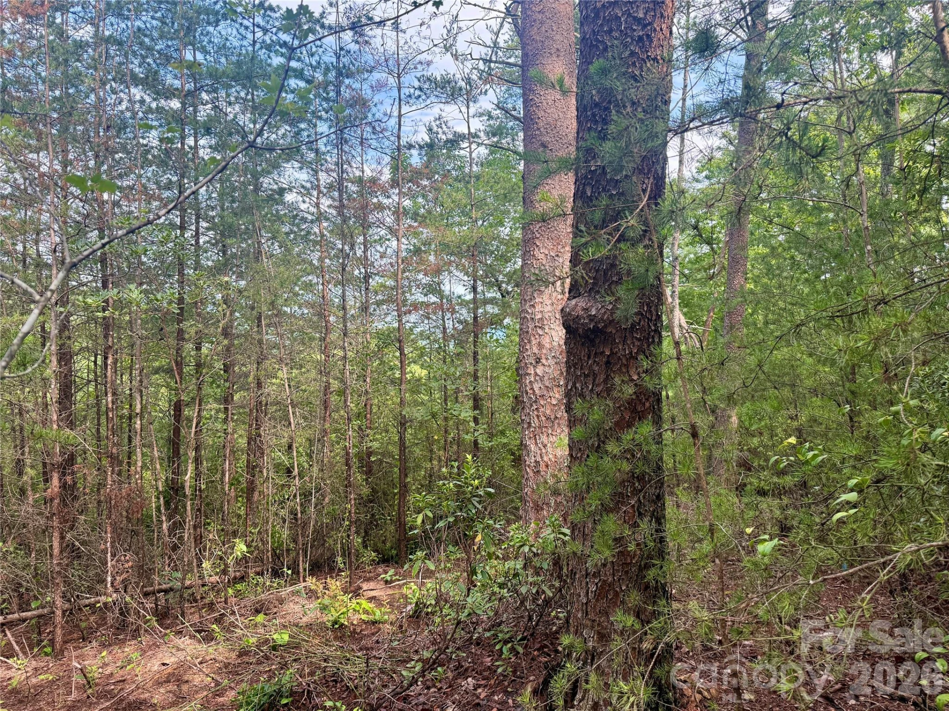 V/L Tahawus Drive #92 - Photo 6