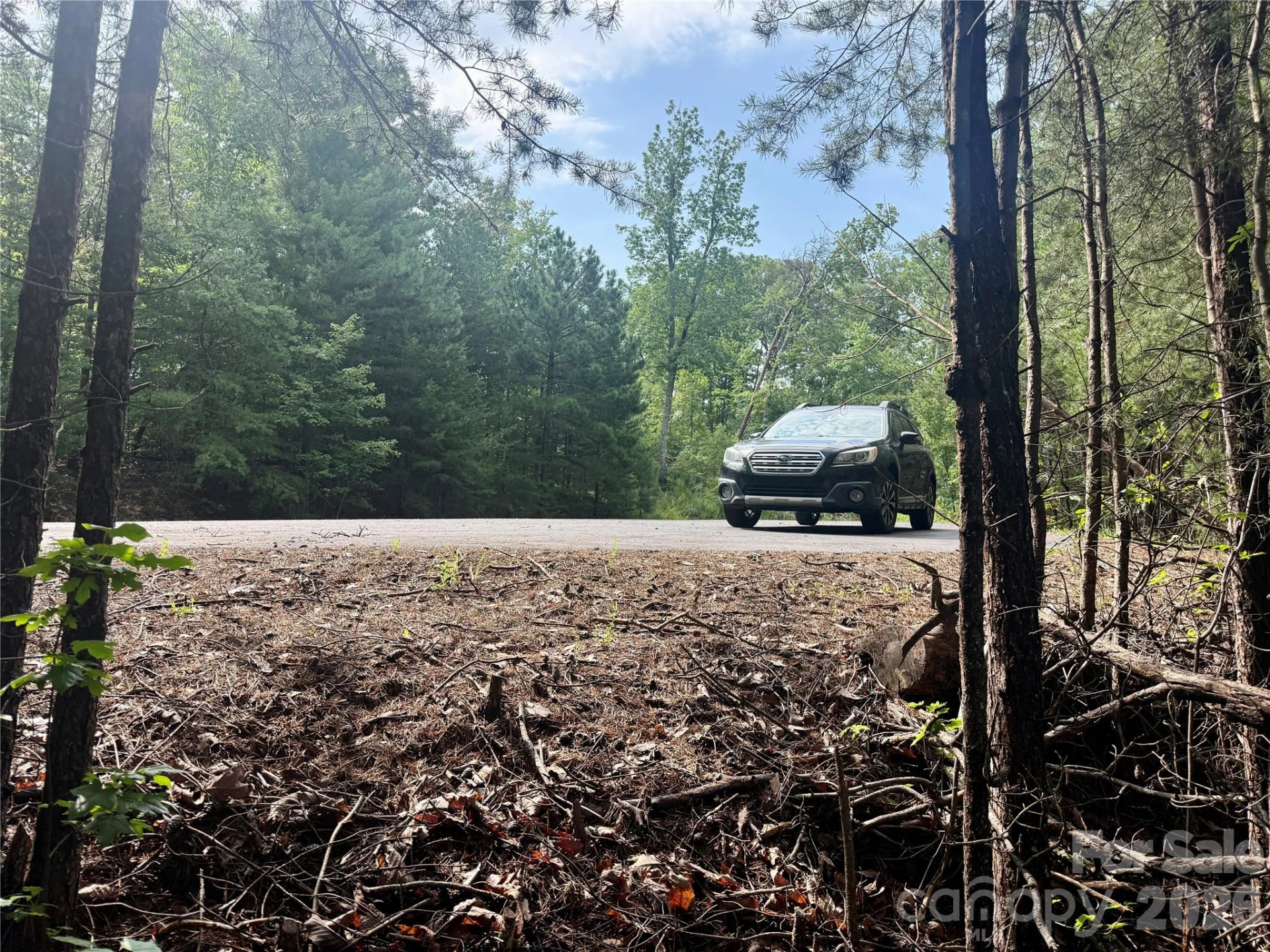 V/L Tahawus Drive #92 - Photo 9