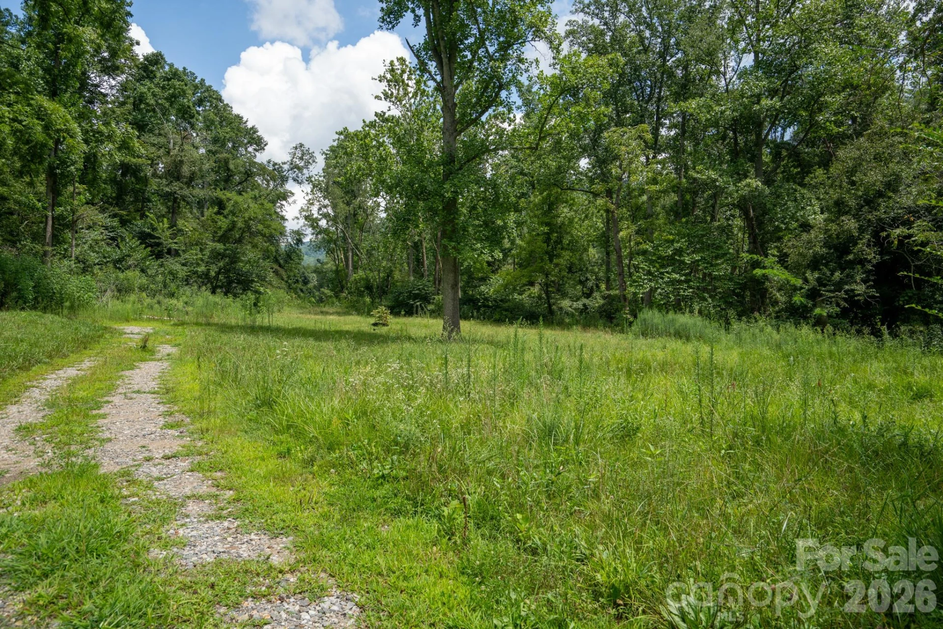 278 Shope Creek Road - Photo 2