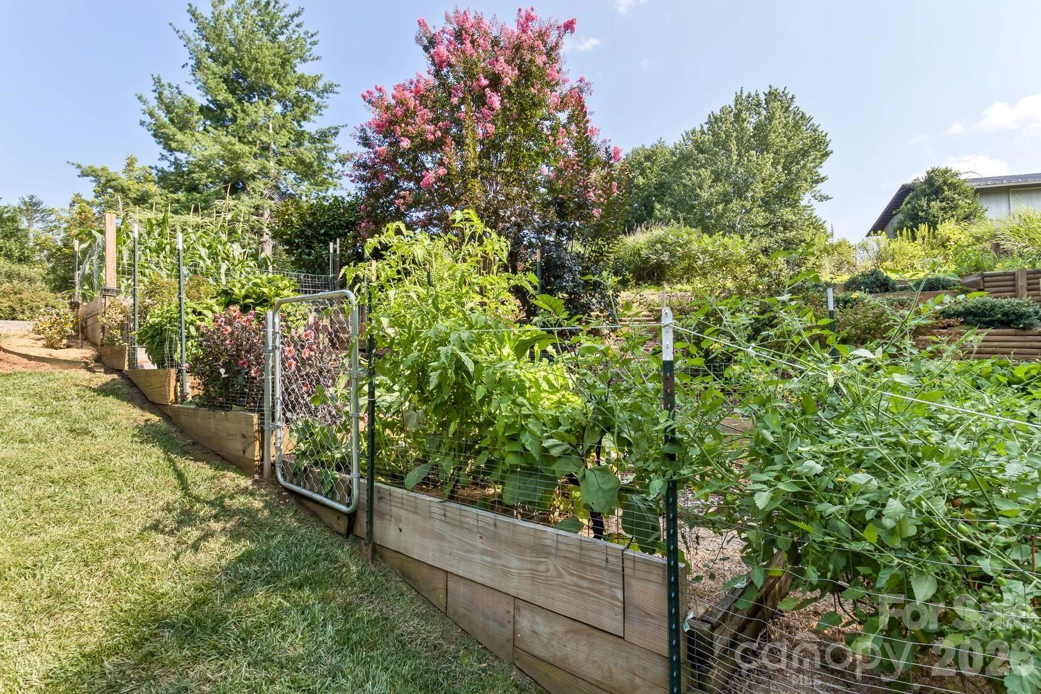 11 Dusty Lane - Photo 31