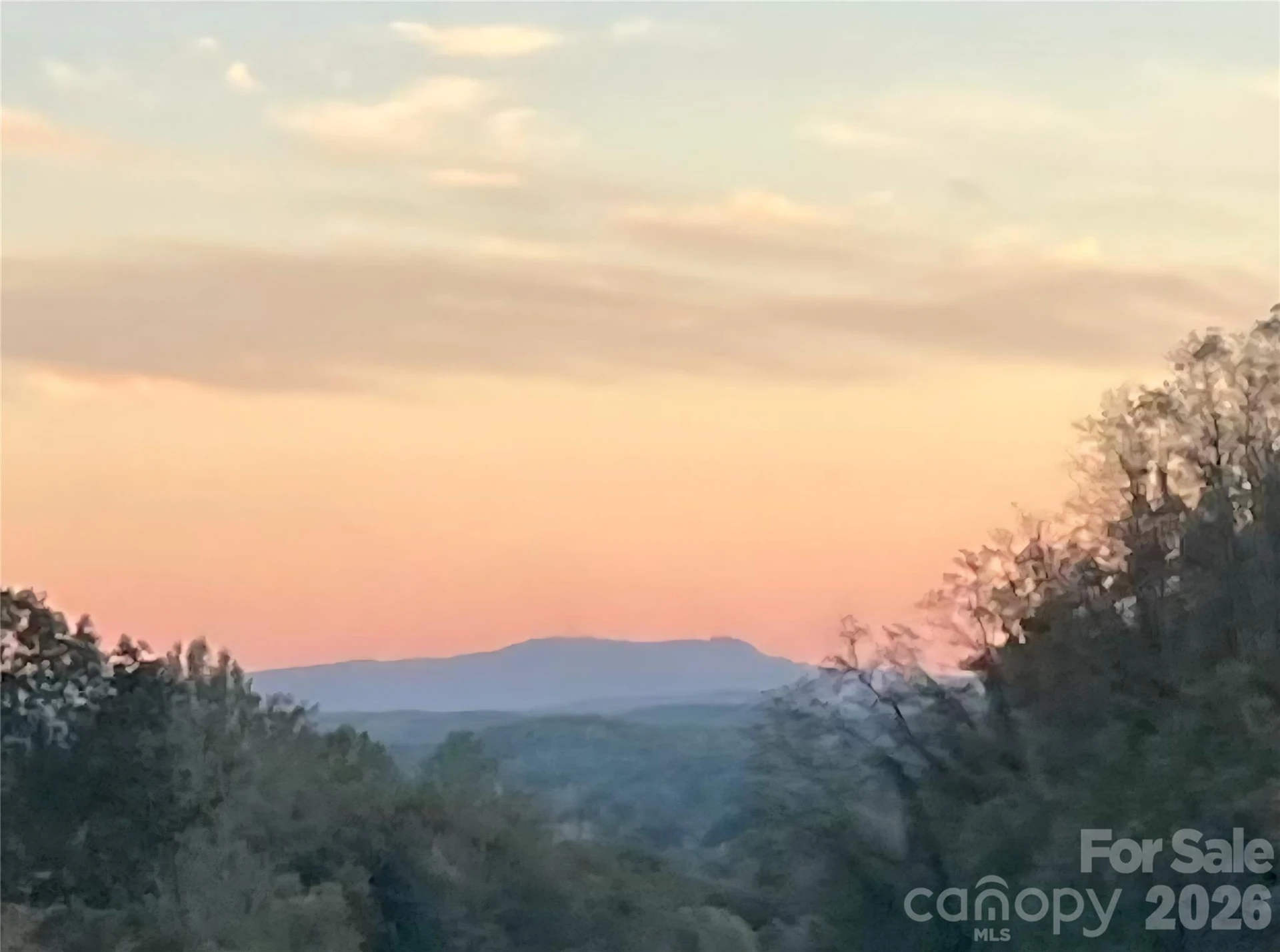 1323 Locust Grove Road - Photo 16