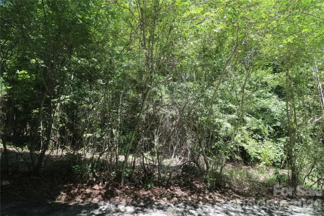 0 Shady Nook Circle, Forest City, NC, 28043