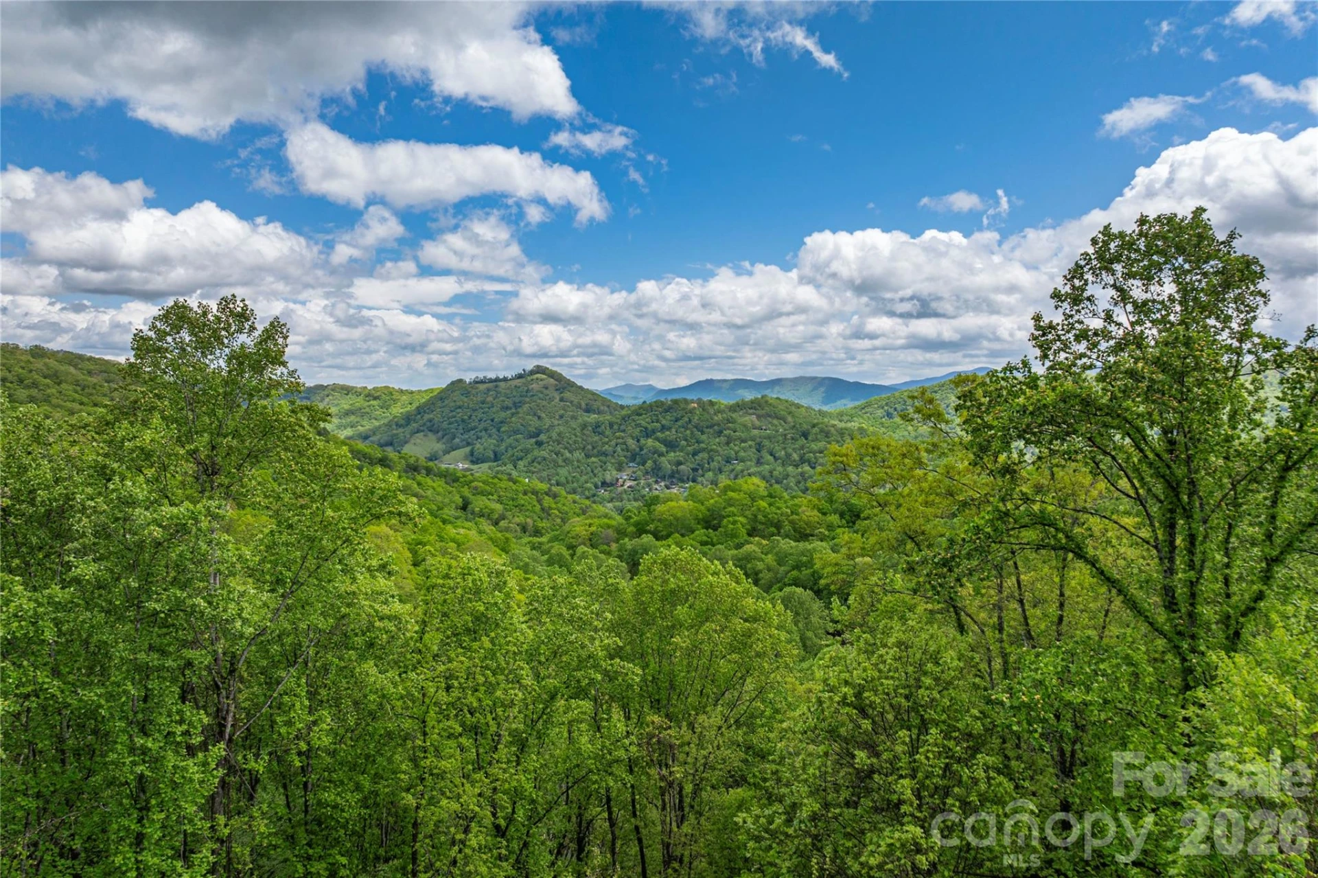 Lot 4 Mountain Watch Drive - Photo 6