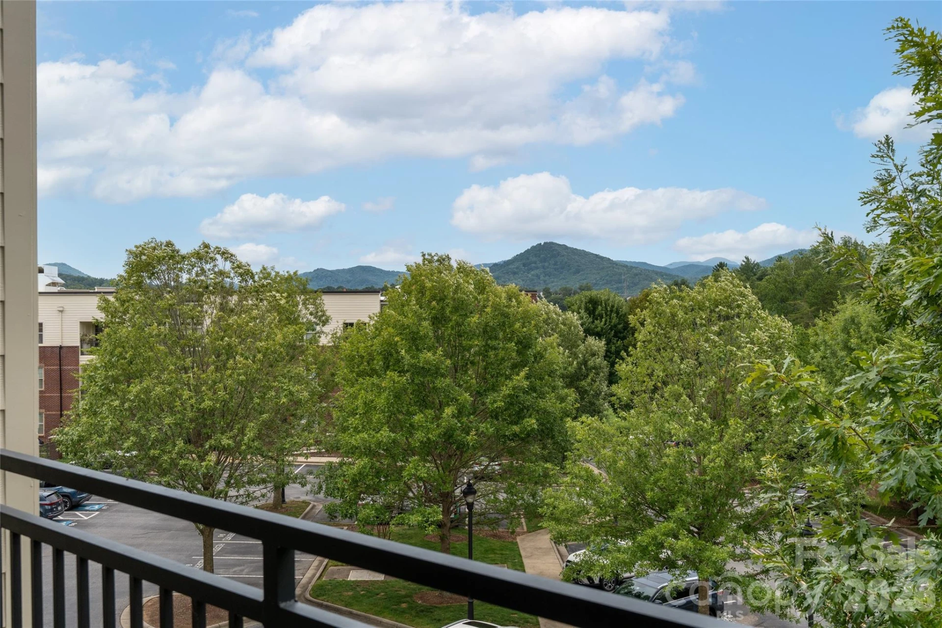 42 Schenck Parkway #205 - Photo 17