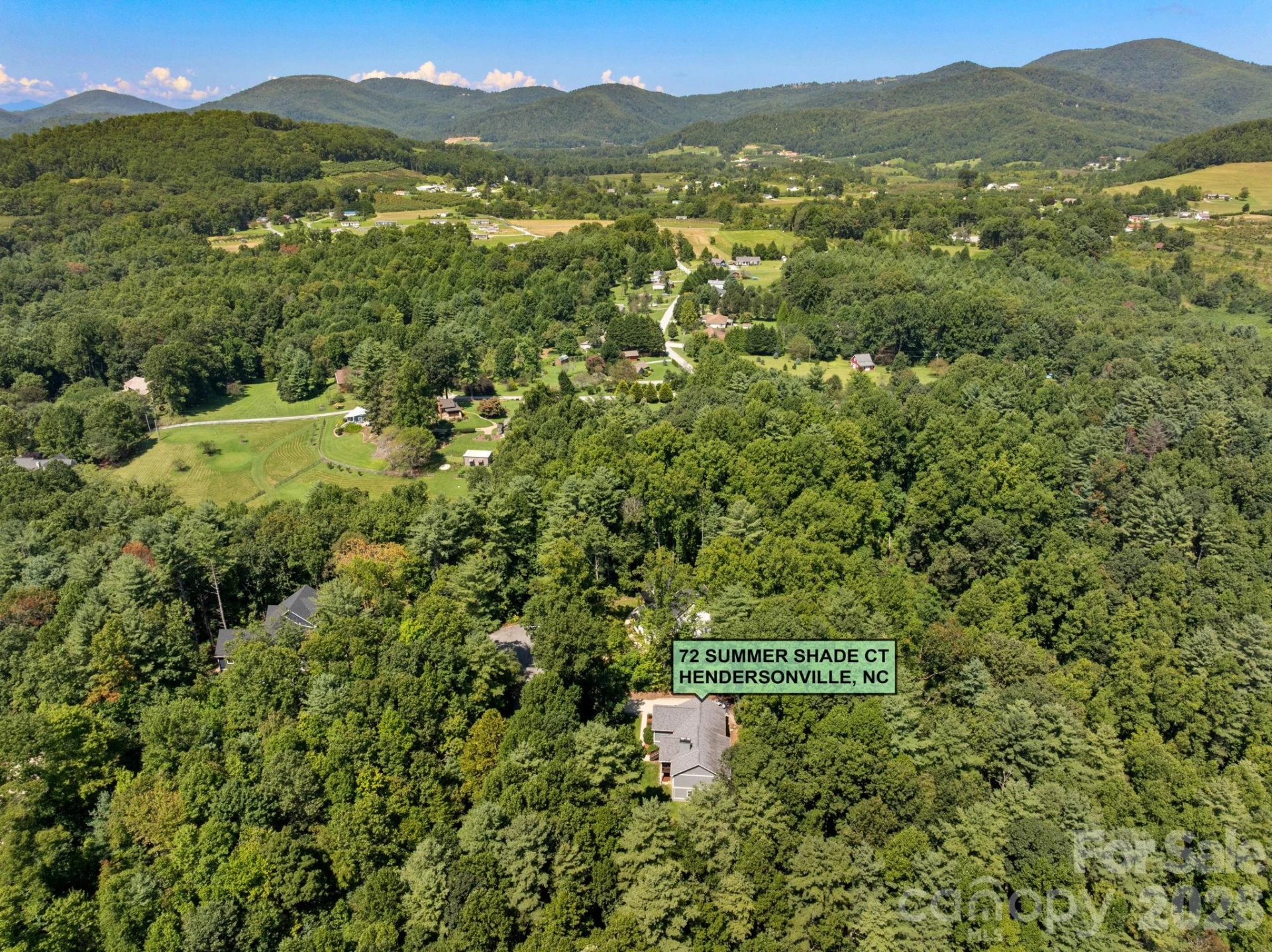 72 Summer Shade Court - Photo 38