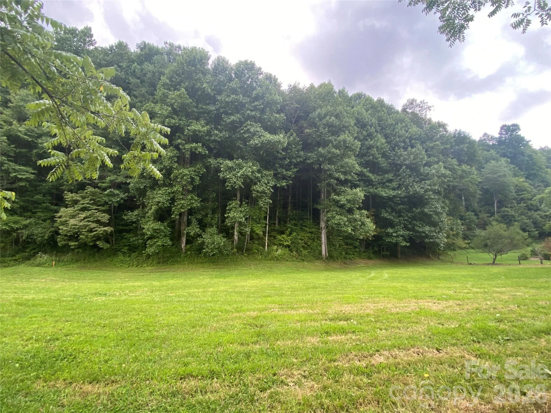 00 Foster Creek Road - Photo 6