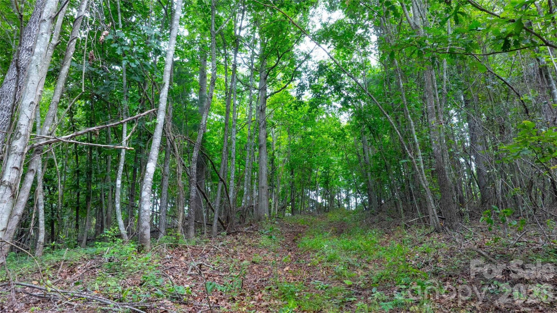 99999 Bob Barnwell Road - Photo 6