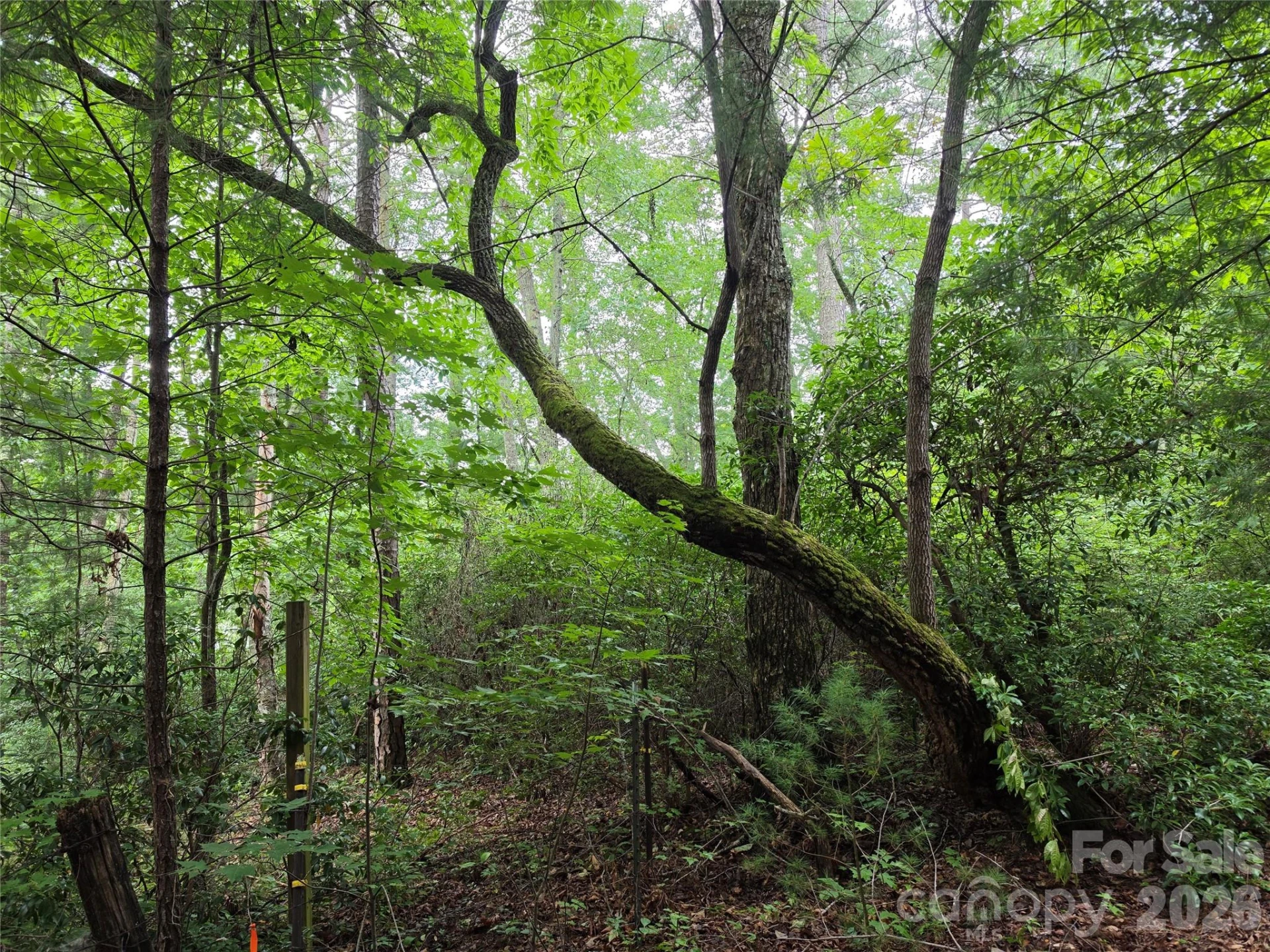 99999 Bob Barnwell Road - Photo 24