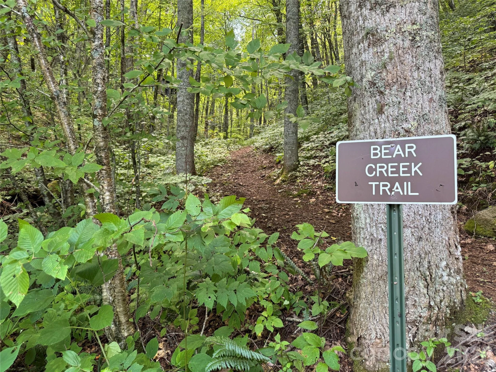 97 High Hickory Trail #2 - Photo 20