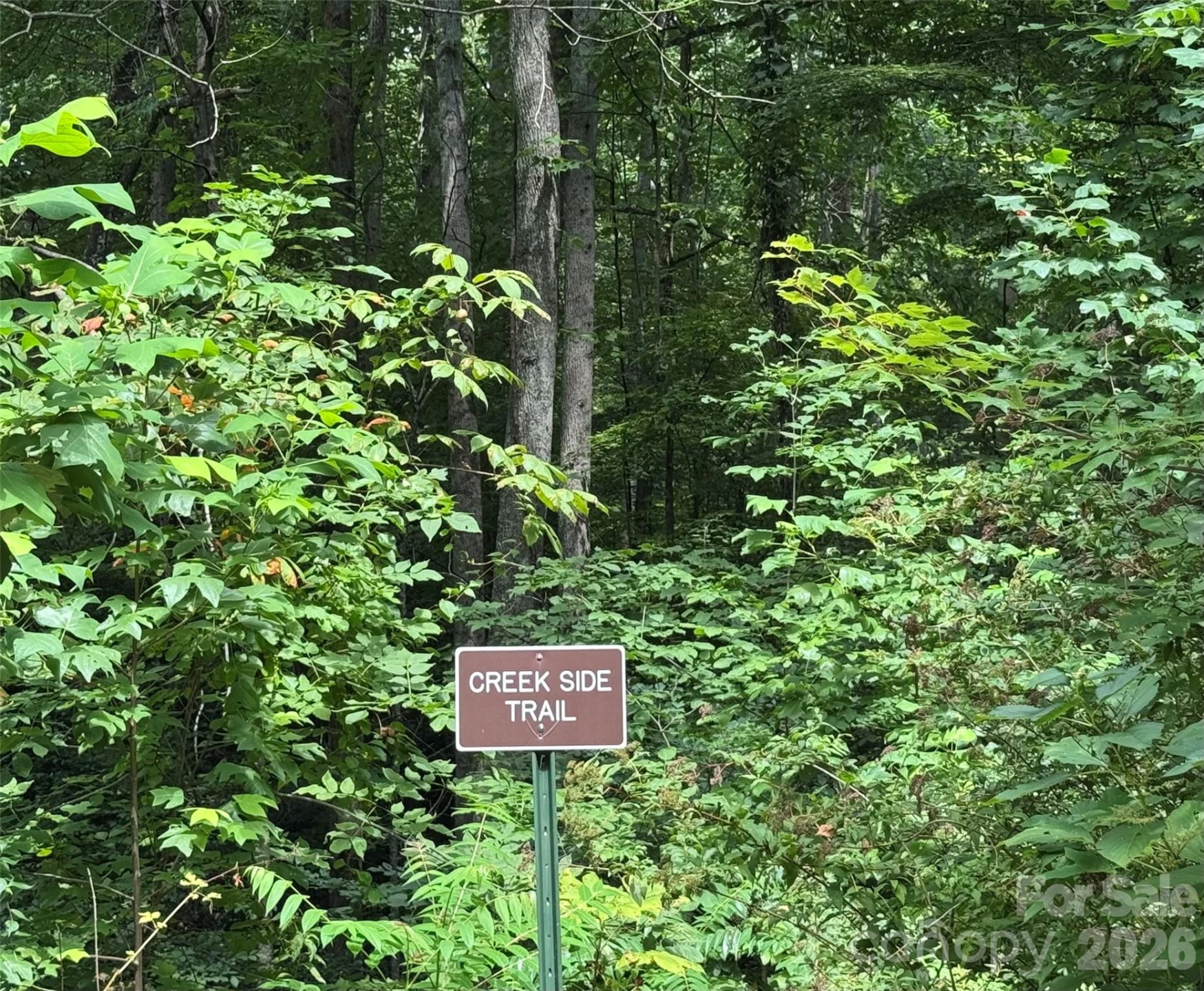 97 High Hickory Trail #2 - Photo 21