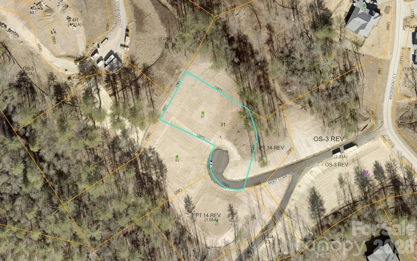 87 Mont Clair Trail #31 - Photo 12