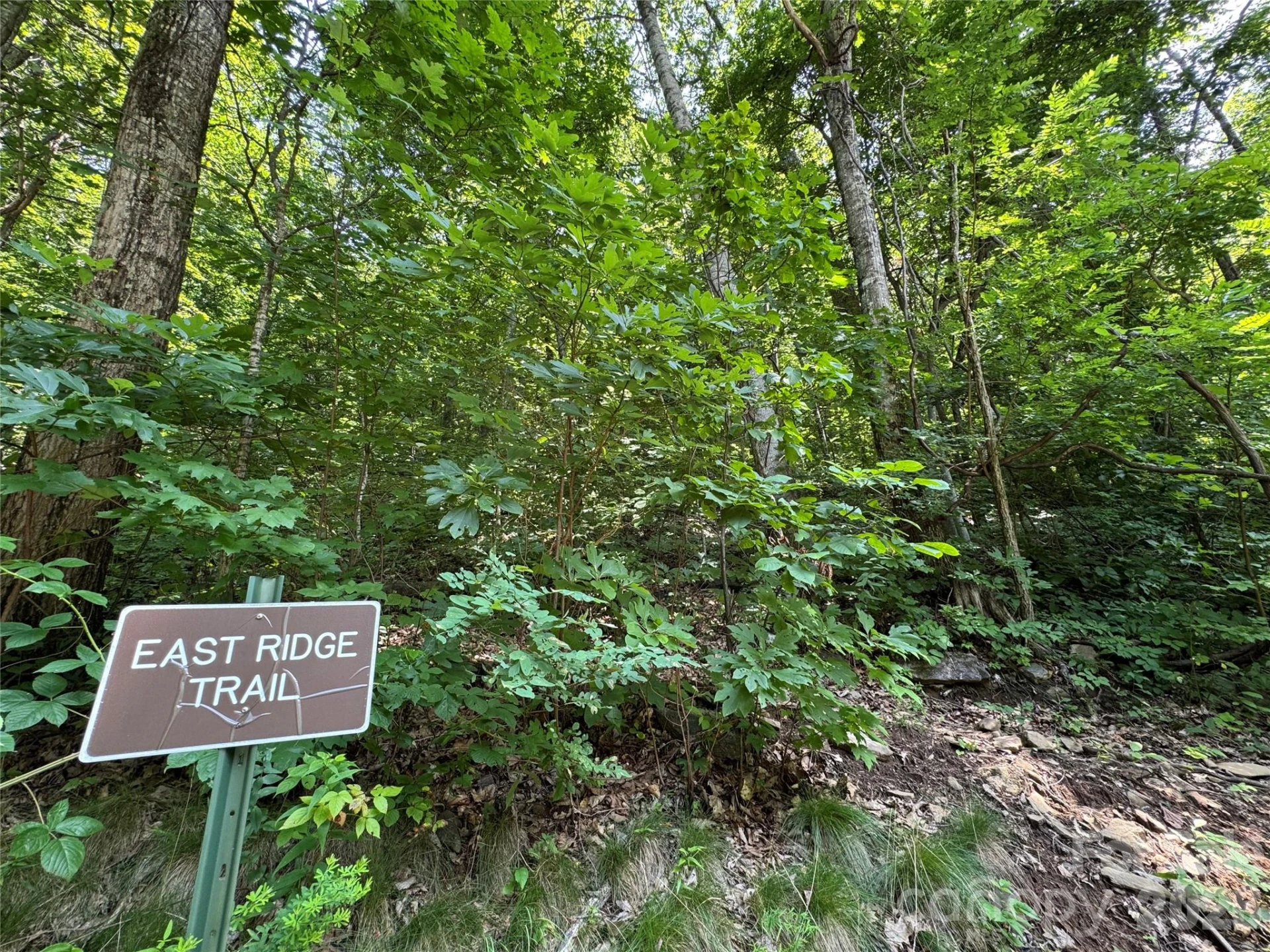 352 High Hickory Trail #20 - Photo 20