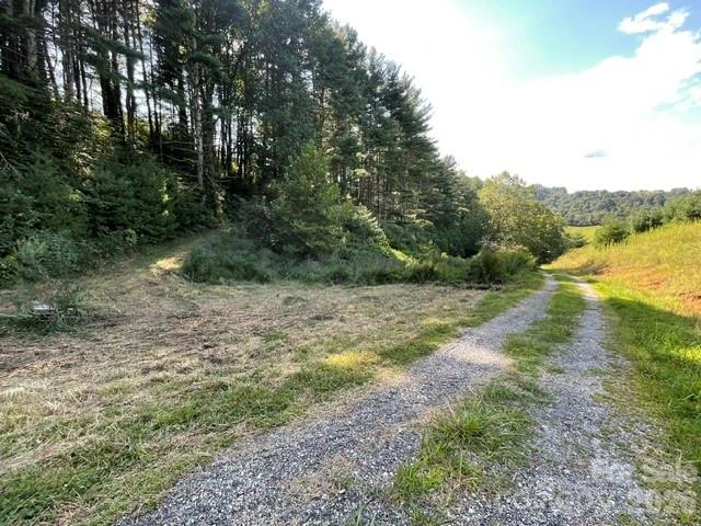 1005 Roberts Branch Road - Photo 2
