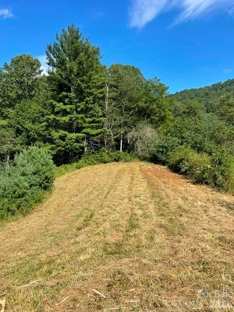 1005 Roberts Branch Road - Photo 3