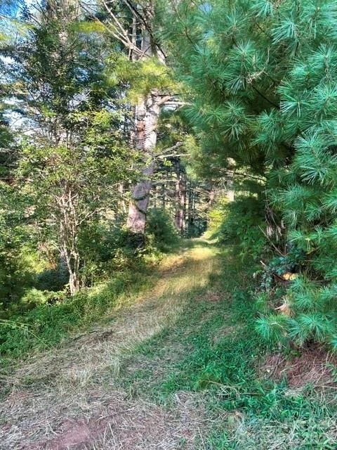 1005 Roberts Branch Road - Photo 4