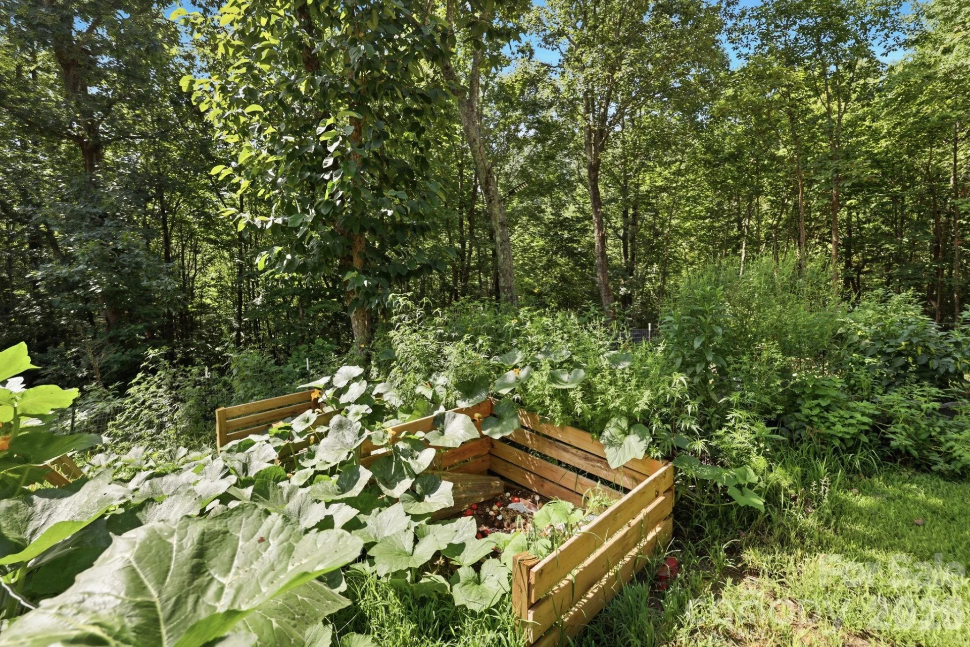 464 Mason Road - Photo 27