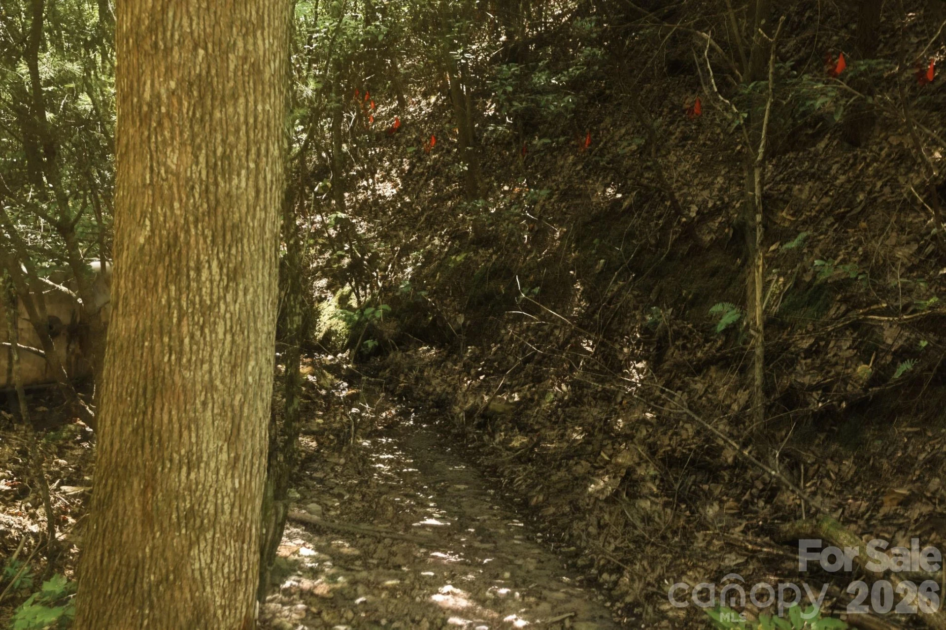 464 Mason Road - Photo 36