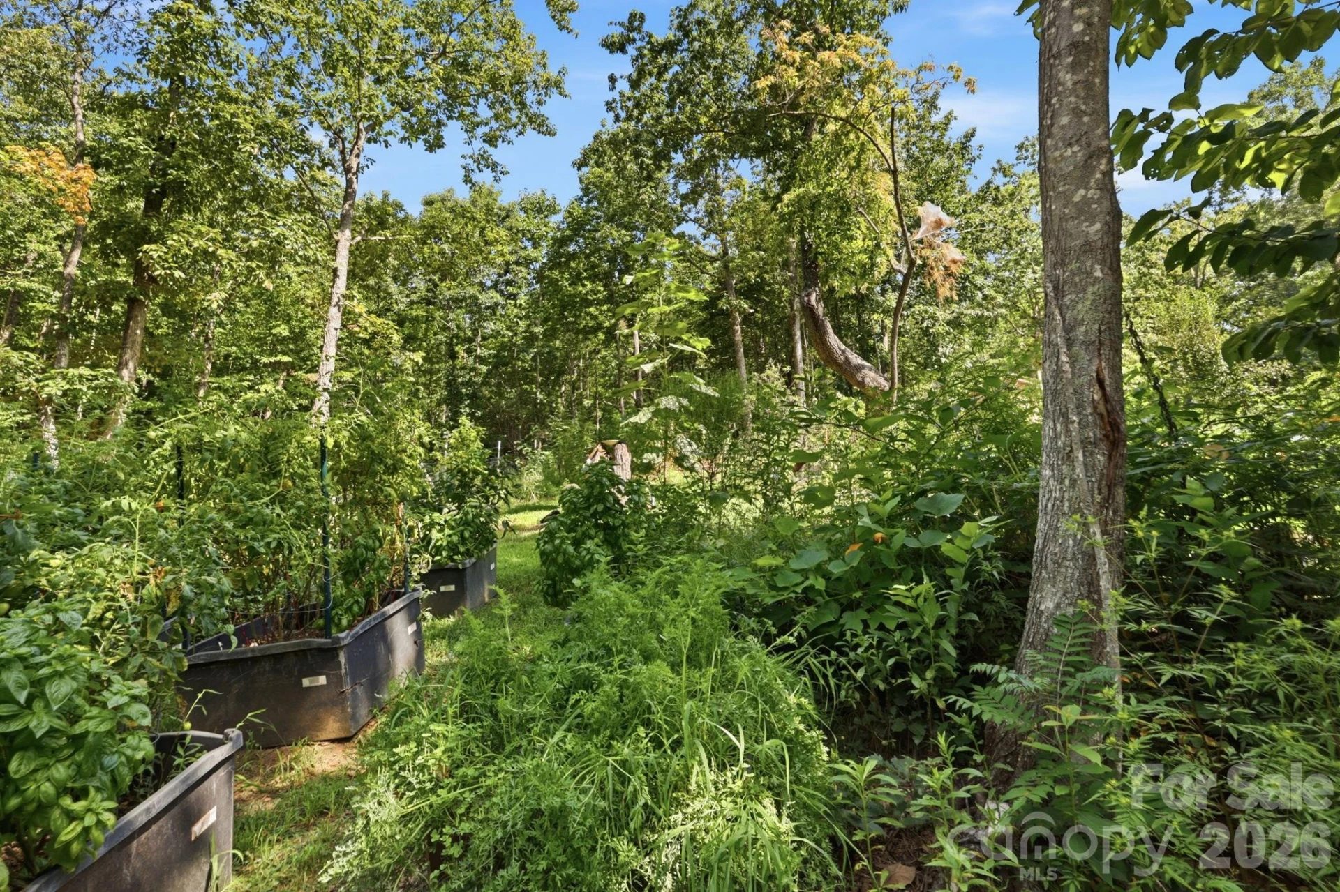 464 Mason Road - Photo 39