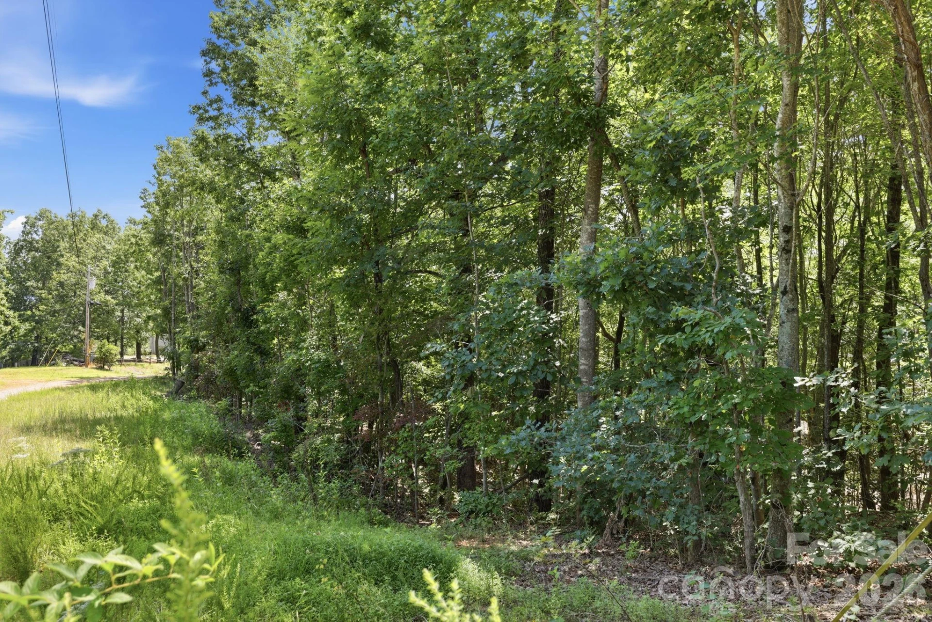 464 Mason Road - Photo 40