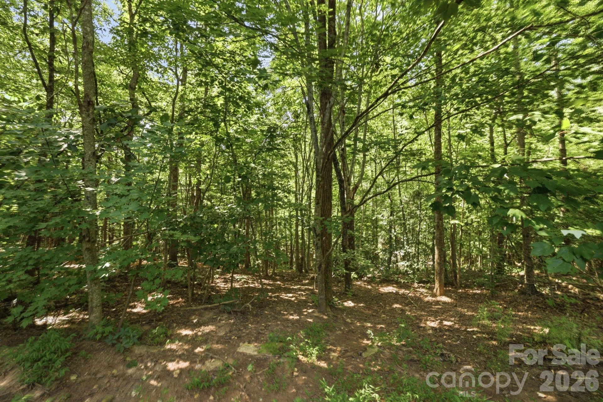 464 Mason Road - Photo 42