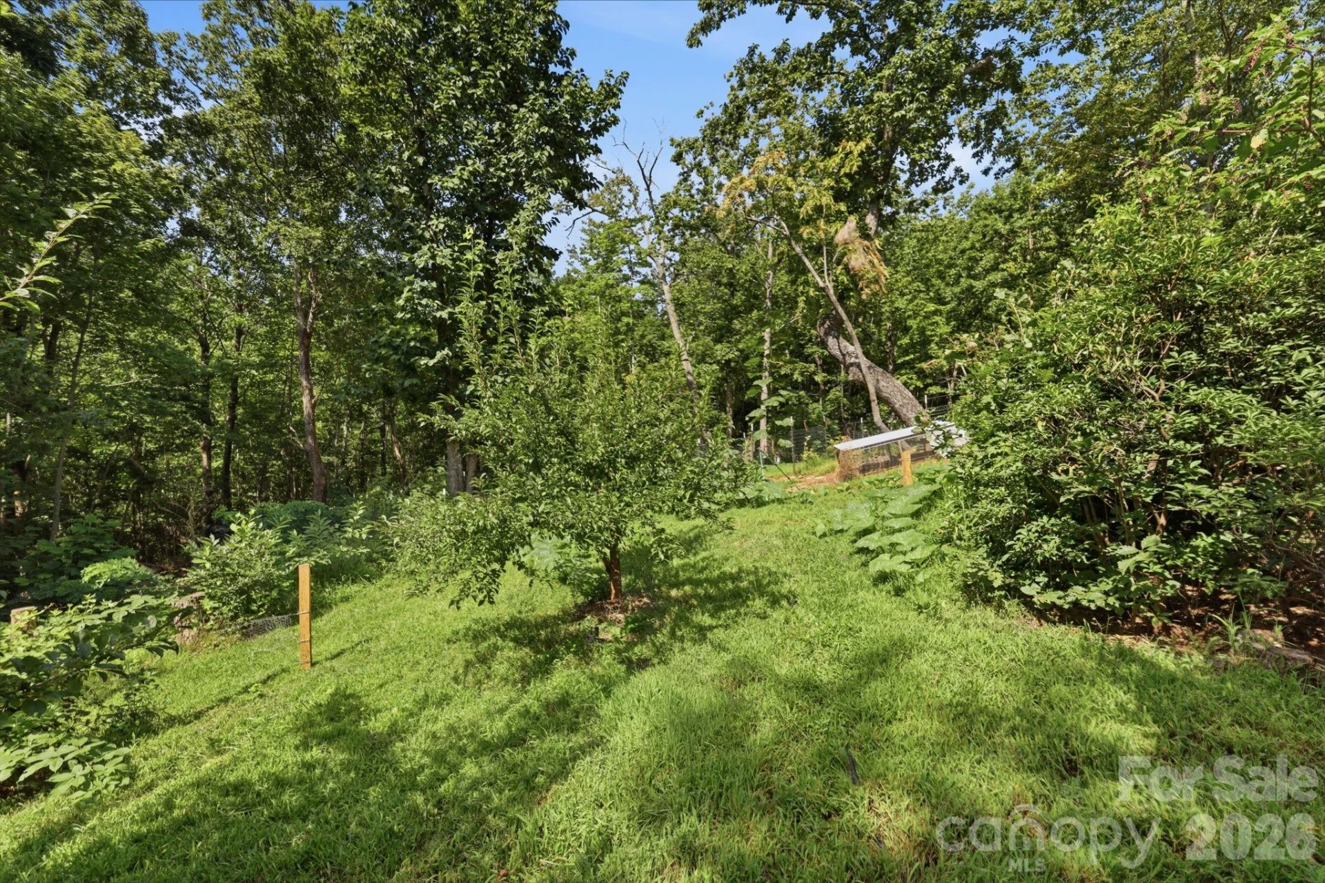 464 Mason Road - Photo 43