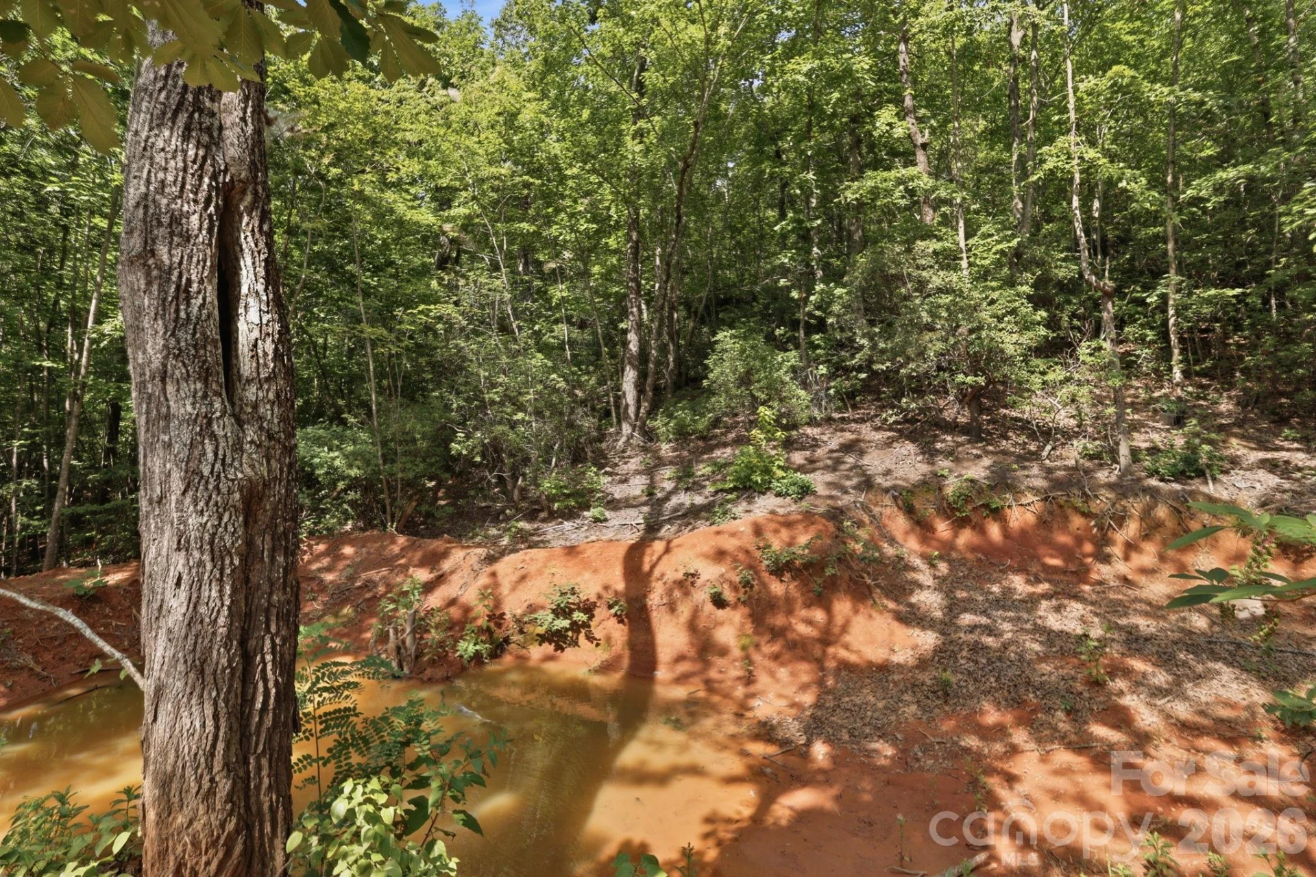 464 Mason Road - Photo 44