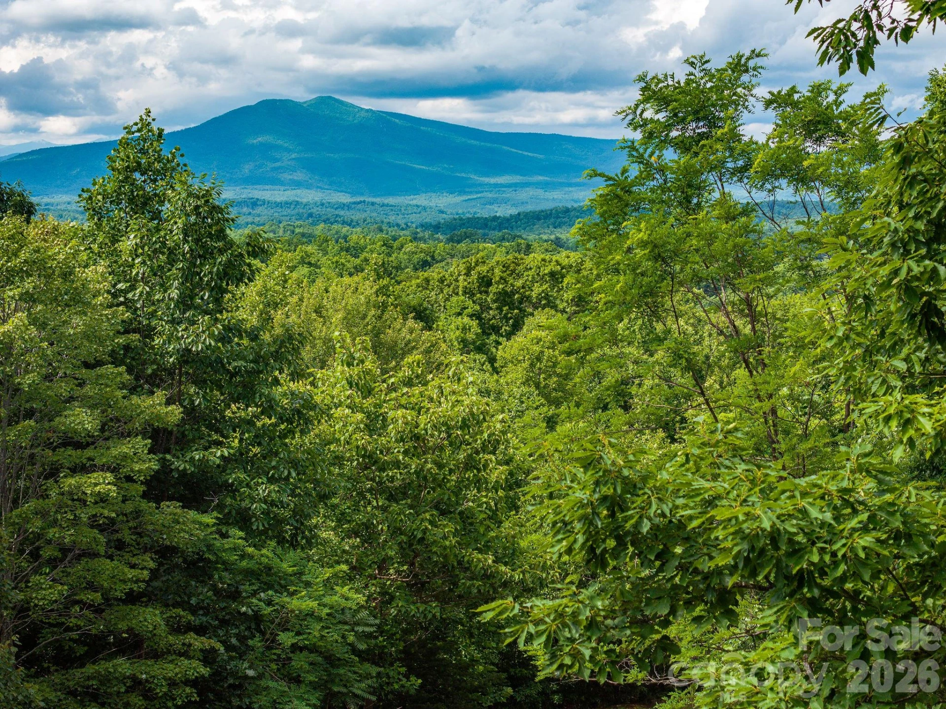 155 Big View Drive #155 - Photo 5