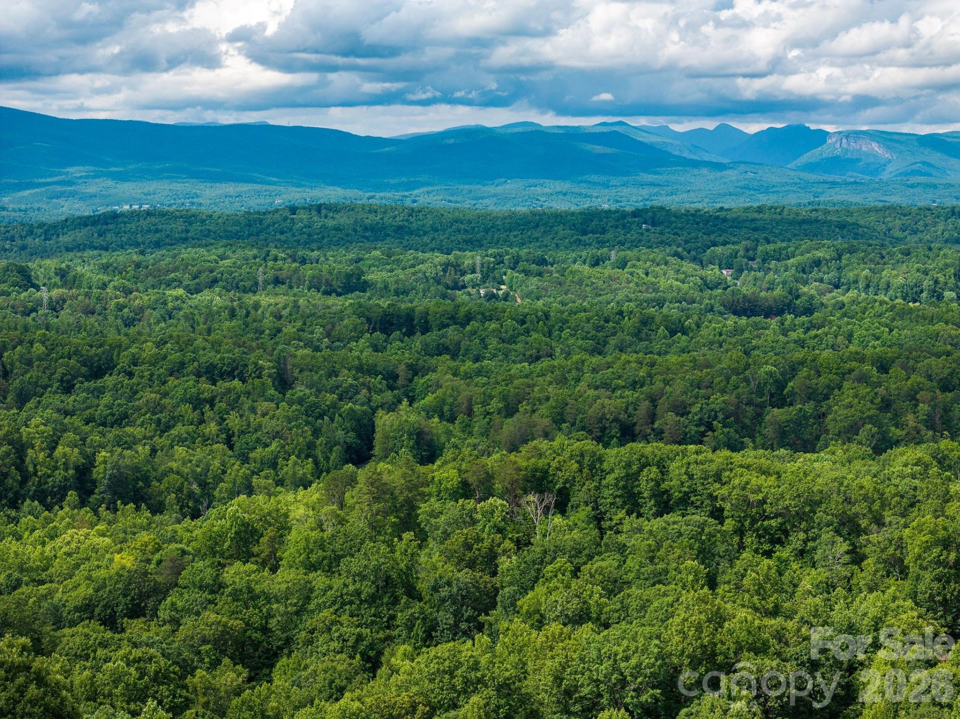 155 Big View Drive #155 - Photo 6