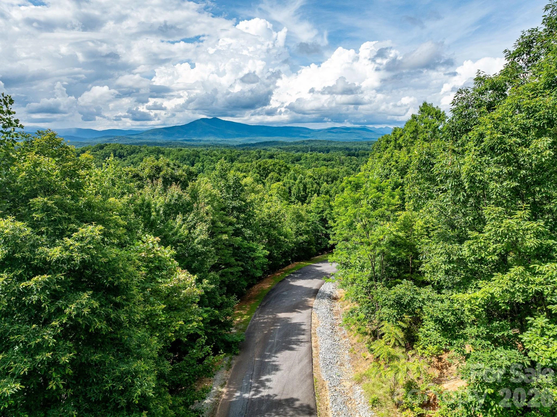 155 Big View Drive #155 - Photo 7