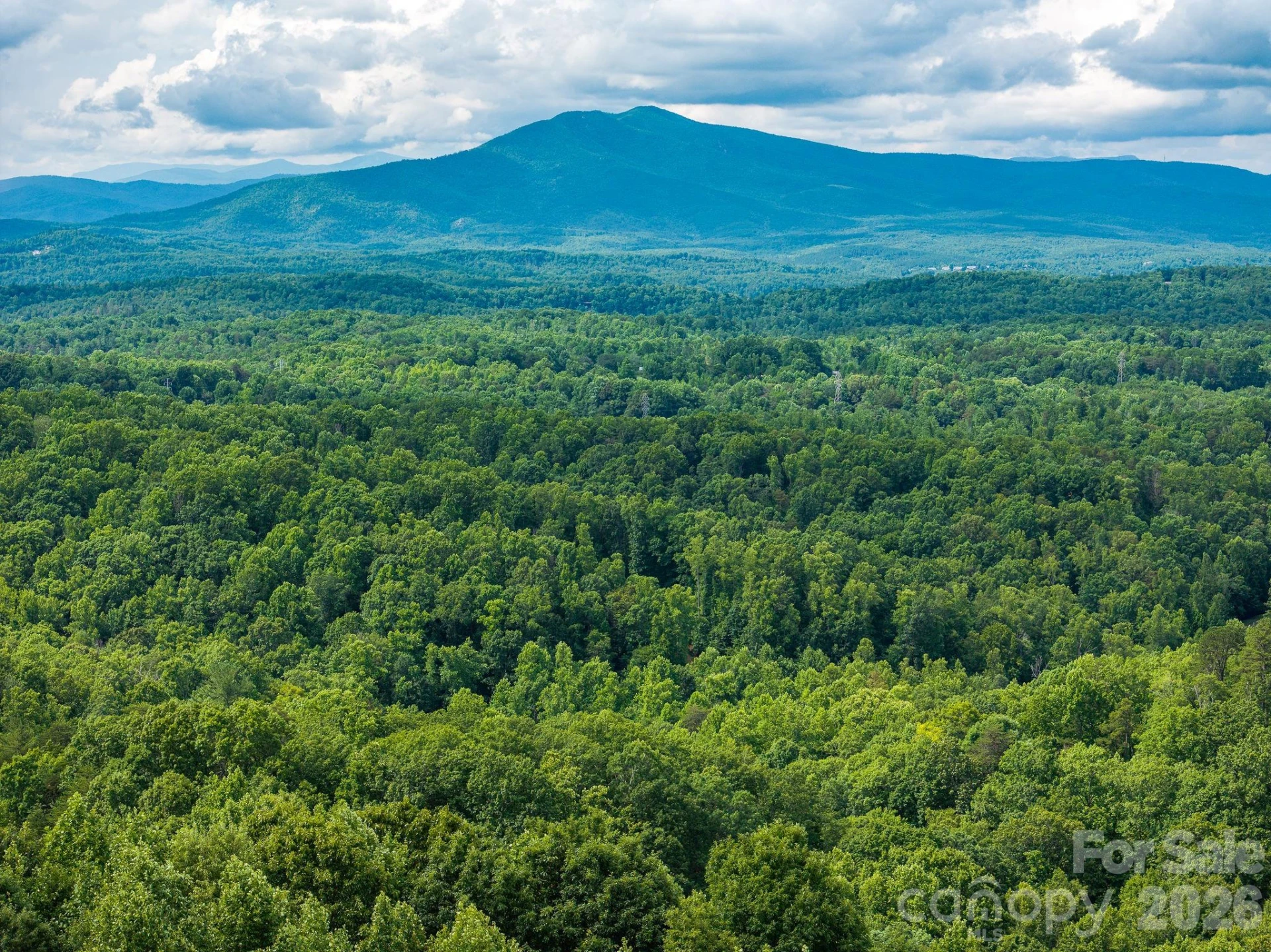 155 Big View Drive #155 - Photo 8
