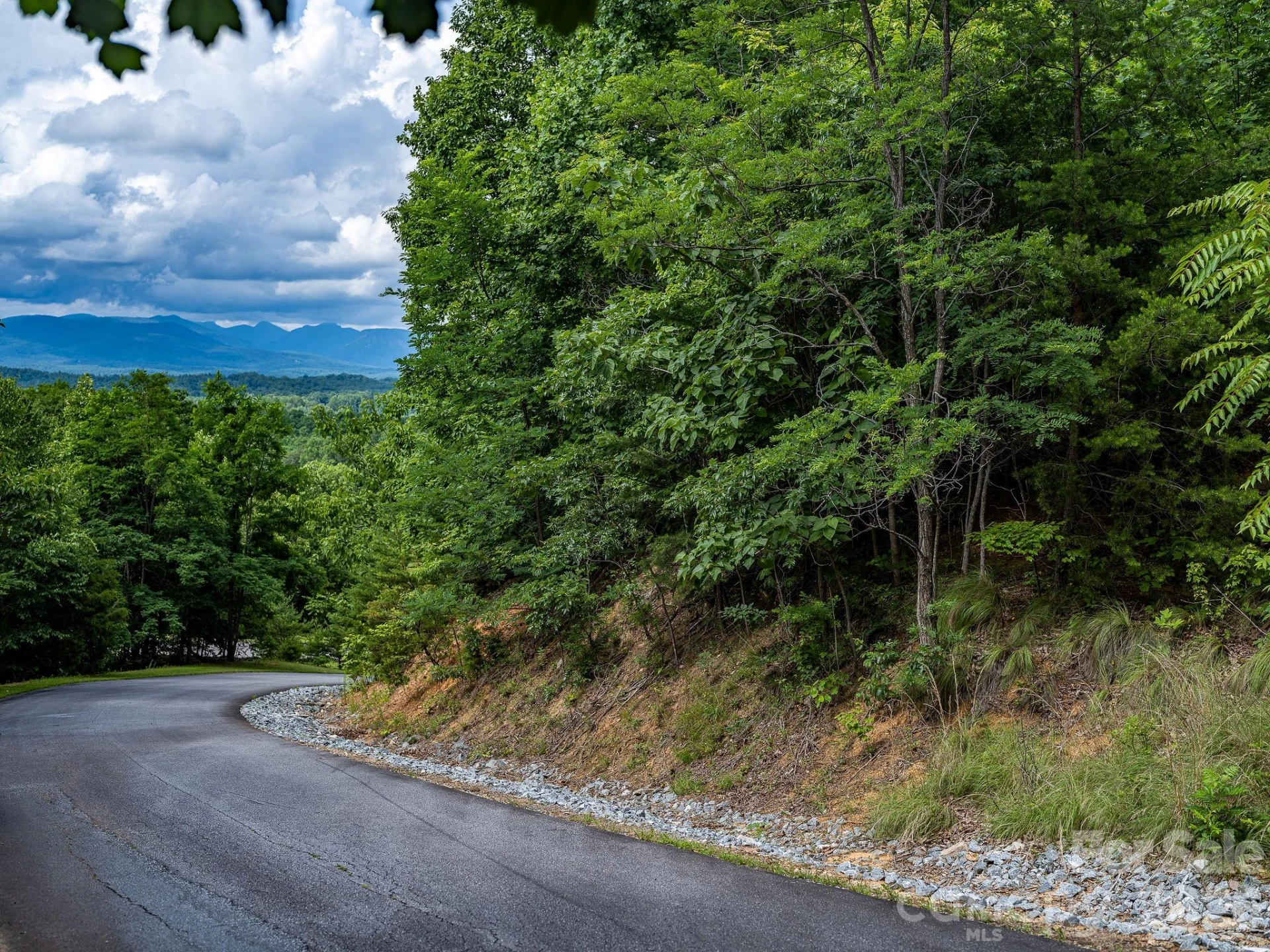155 Big View Drive #155 - Photo 9