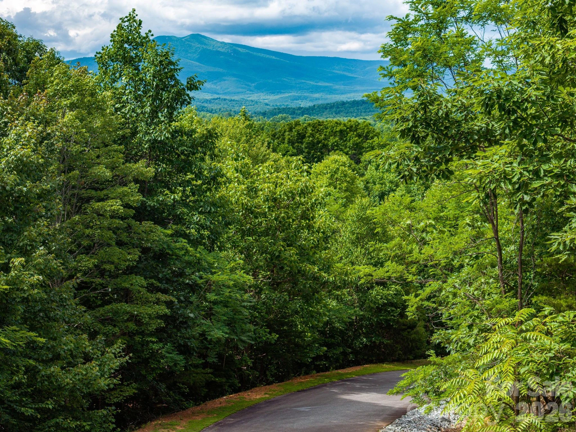 155 Big View Drive #155 - Photo 10