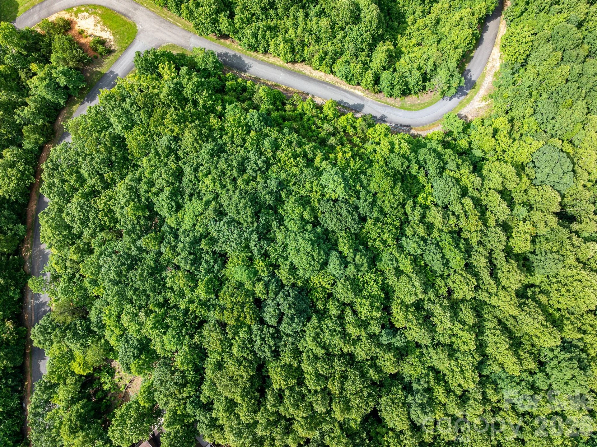 155 Big View Drive #155 - Photo 12