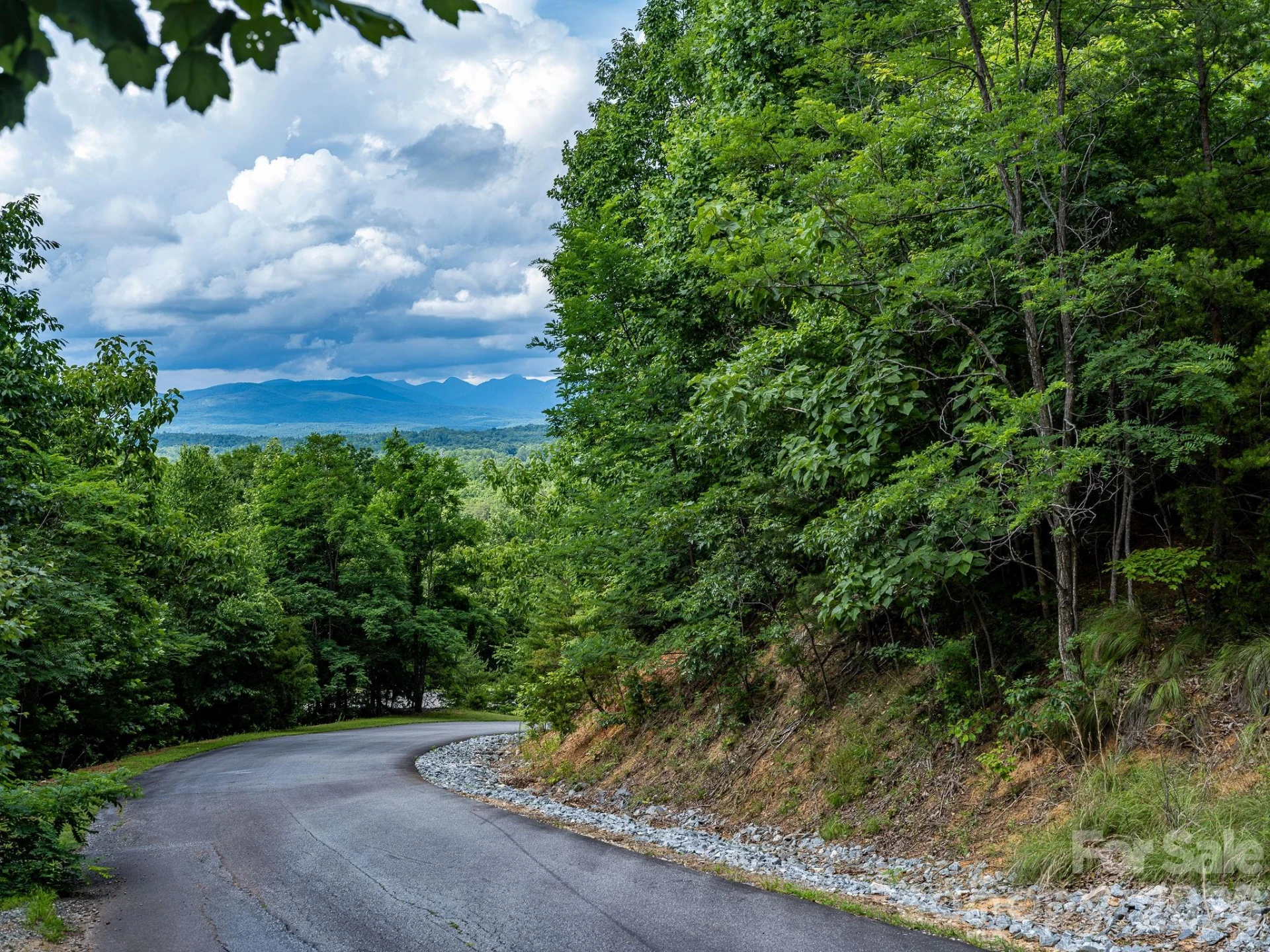 155 Big View Drive #155 - Photo 13