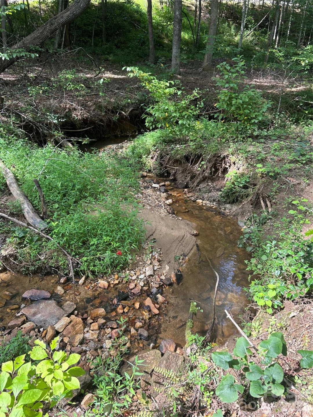 155 Big View Drive #155 - Photo 19
