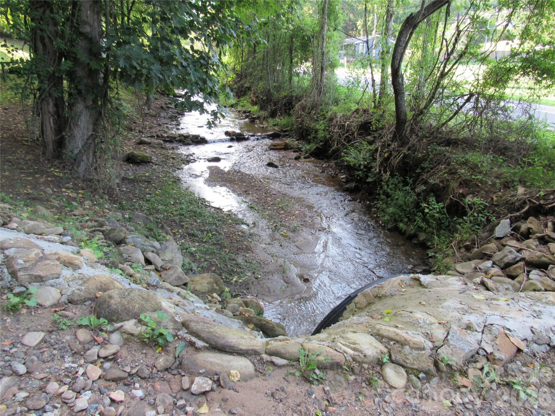 261 Warren Creek Road - Photo 3