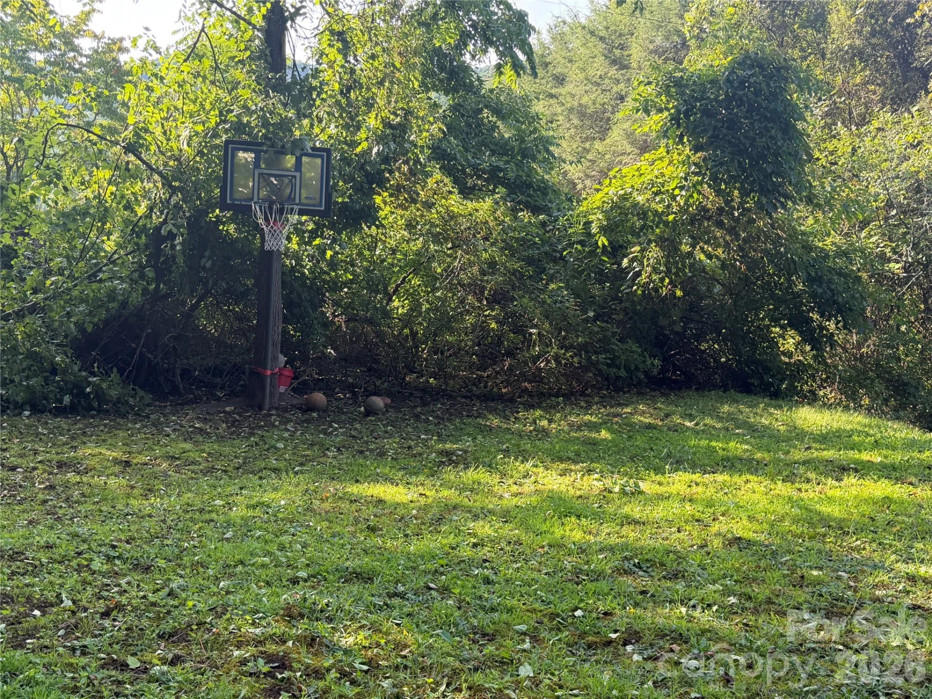 261 Warren Creek Road - Photo 21