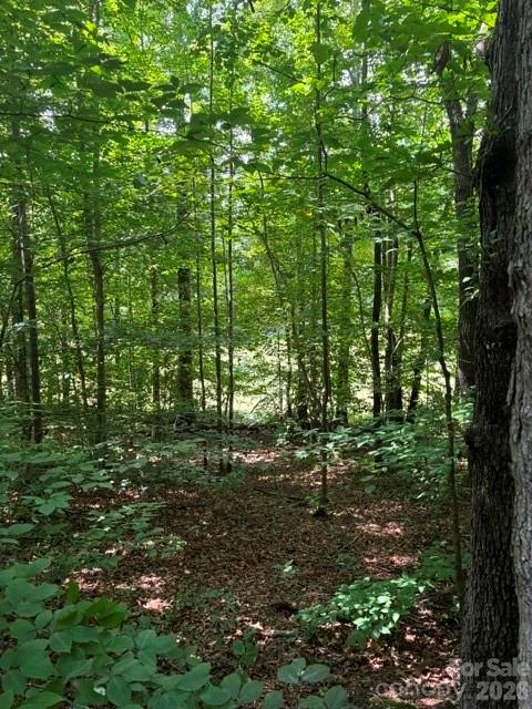 0 Moss Drive #71 - Photo 2