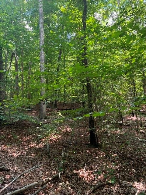 0 Moss Drive #71 - Photo 3