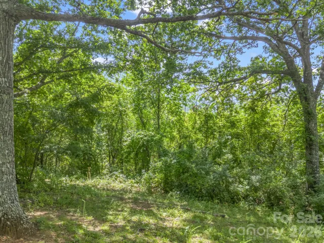 61 Sugar Maple Drive, Black Mountain, NC, 28711