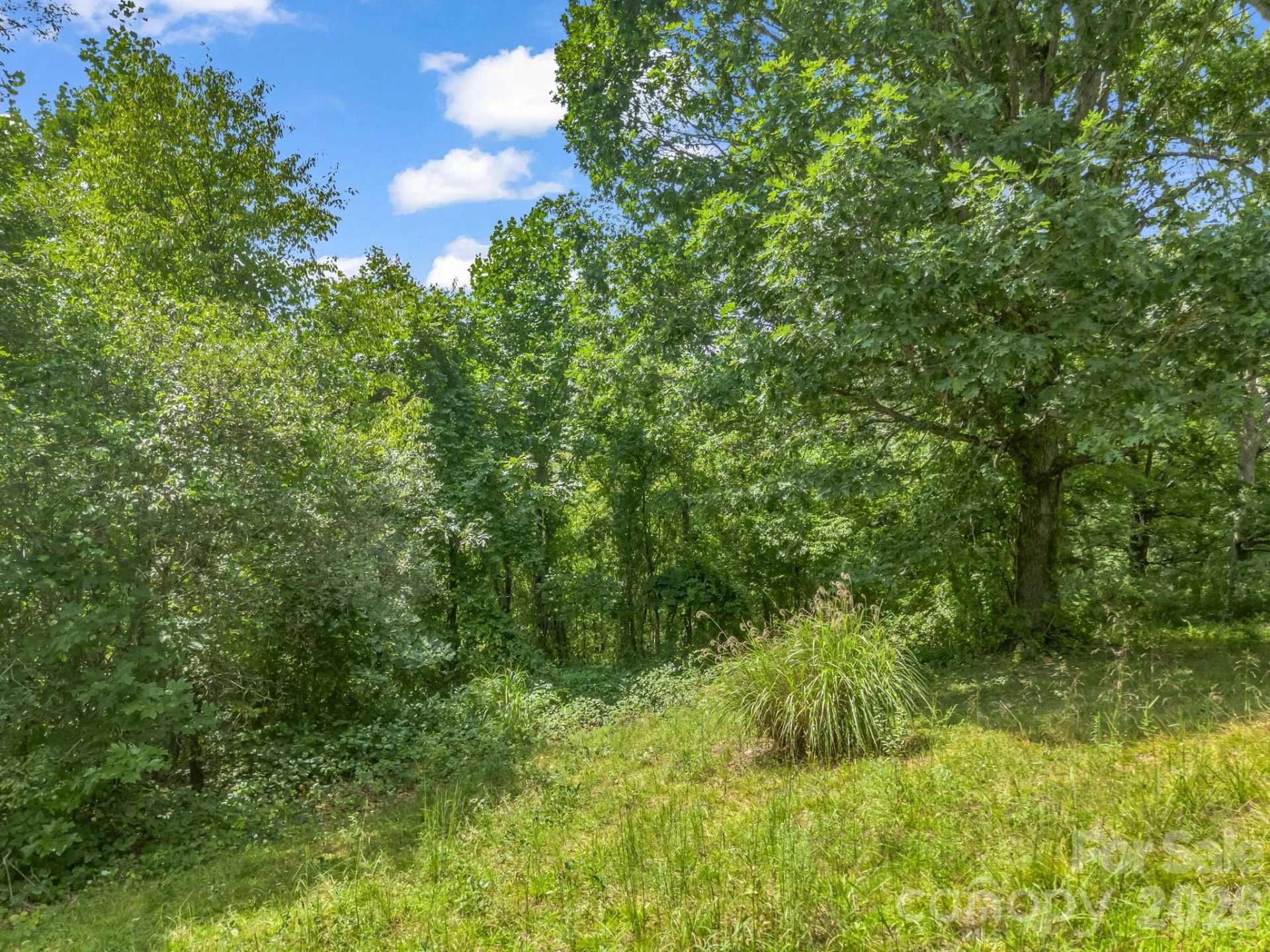 61 Sugar Maple Drive - Photo 2