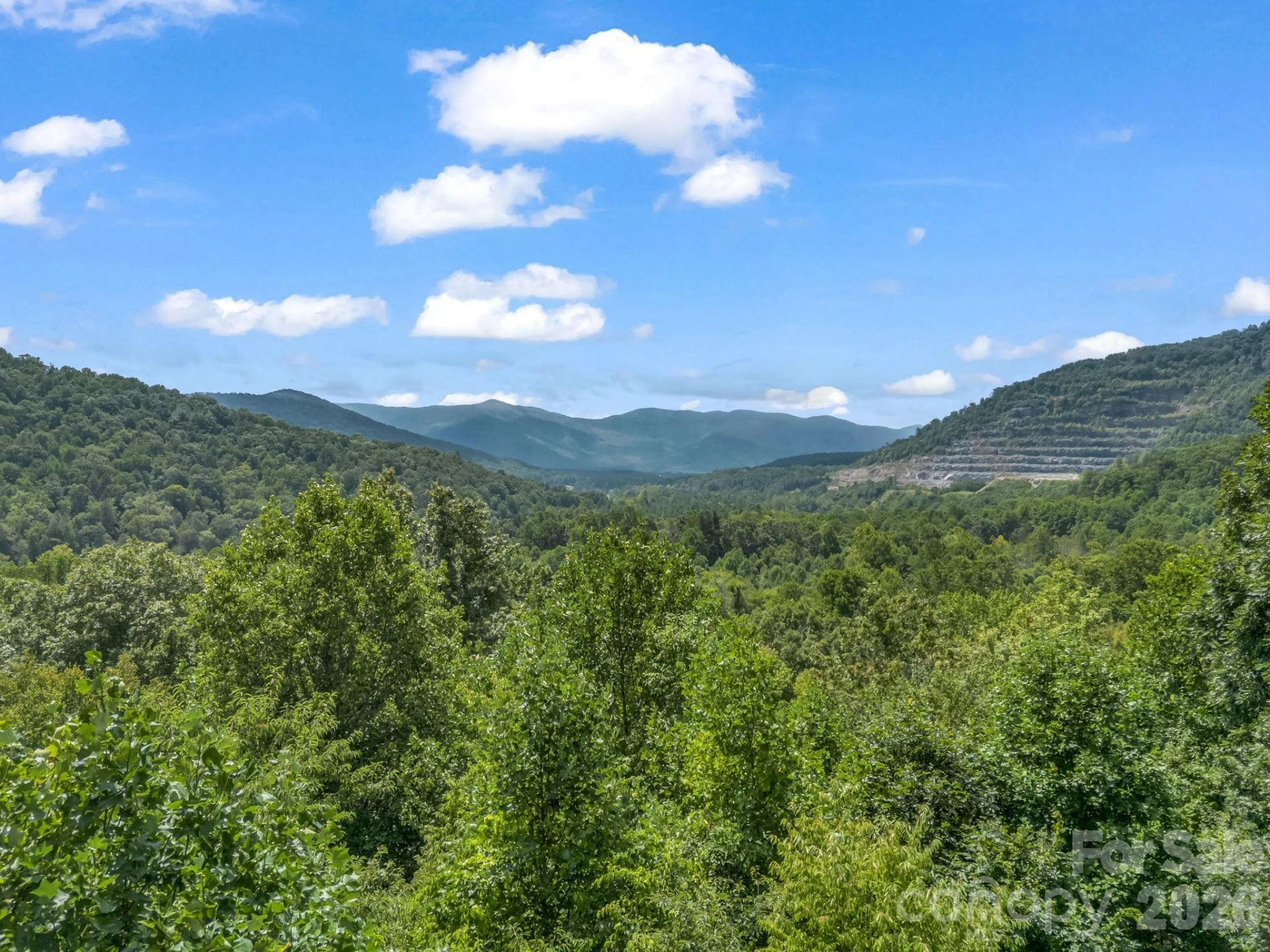 61 Sugar Maple Drive - Photo 6