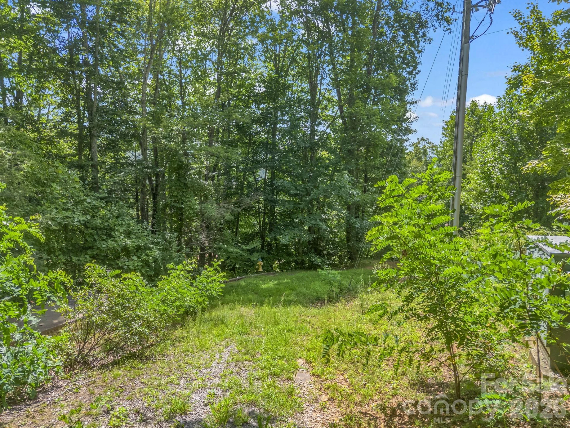 61 Sugar Maple Drive - Photo 8