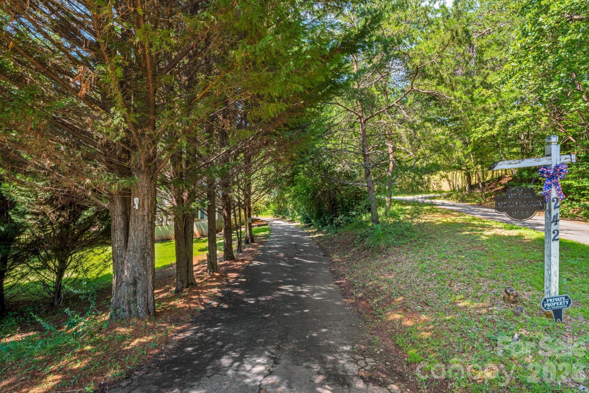 242 Whitney Boulevard - Photo 18